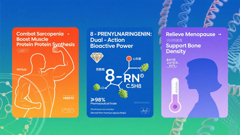 高純度8-PN：筋肉と更年期障害の二重のブースト