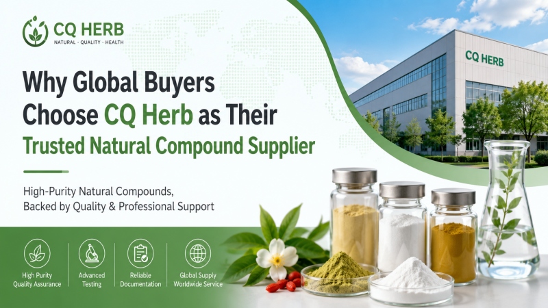 Why Global Buyers Choose CQ Herb as Their Trusted Natural Compound Supplier