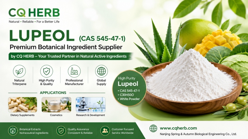 CQ HERB ルペオール供給業者および製造業者 | 高純度ルペオール CAS 545-47-1