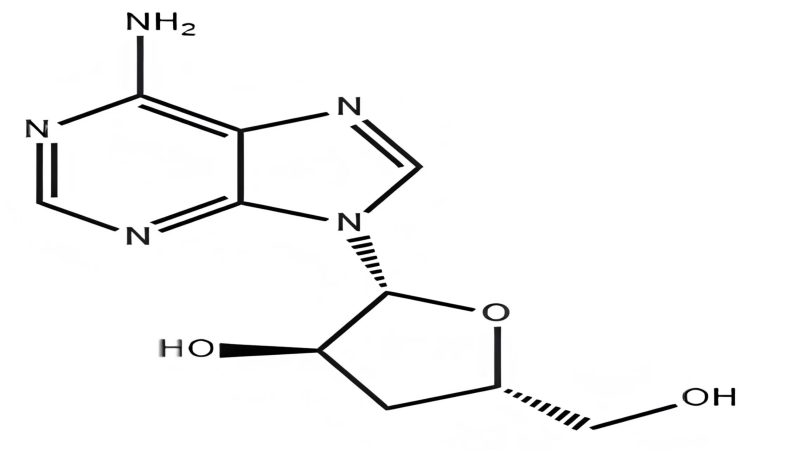 Molecular structure of Cordycepin