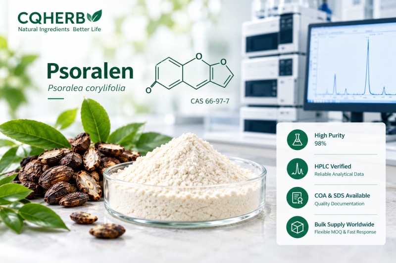 Psoralen 98% supplier